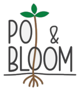 Pot and Bloom