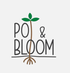 Pot and Bloom